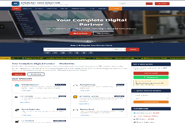 EverLast Tech Solutions